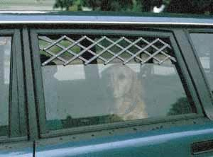 Dog Car window vent