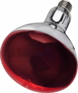 Infrared Bulbs