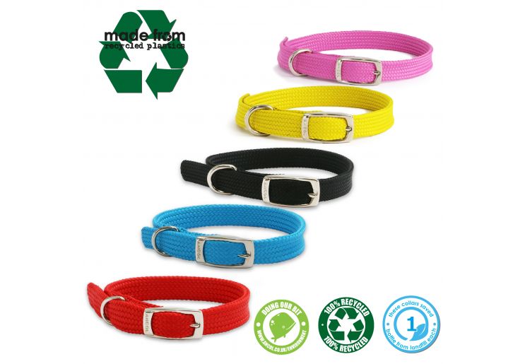 Red Nylon Dog Collar