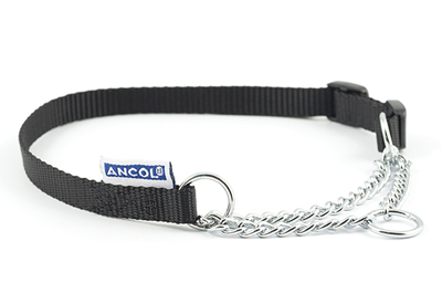 Dog Collars