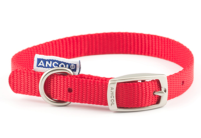 Red Nylon Dog Collar