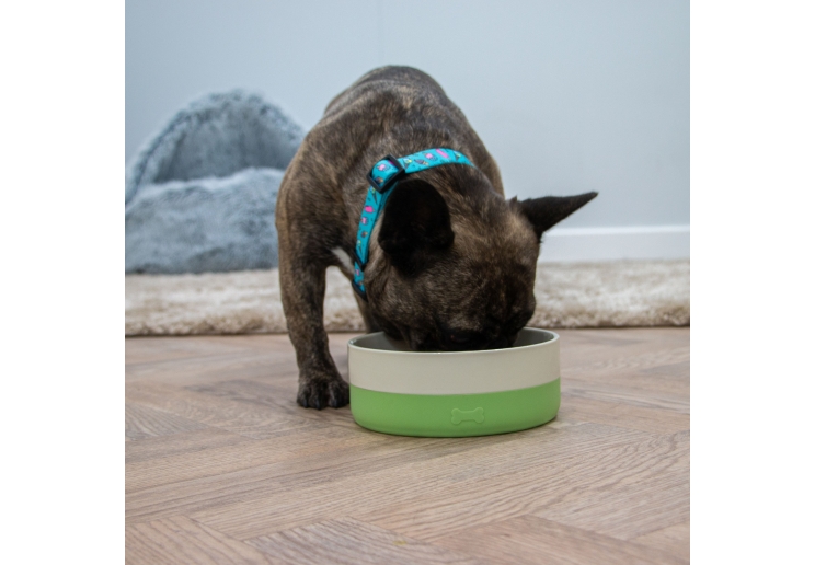 Ceramic Dog Bowl with Non Slip Base