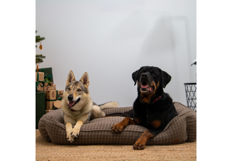 Brown Check Dog Beds