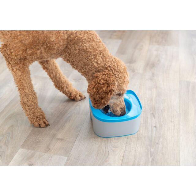 Anti Slosh Dog Bowl