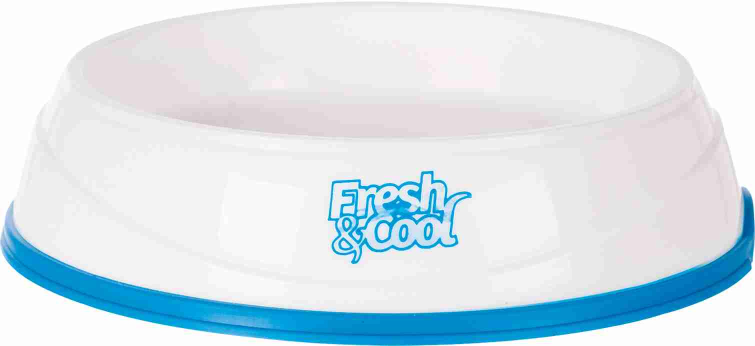 Cool Fresh Dog Bowls
