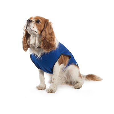 Dog Cooling Coats