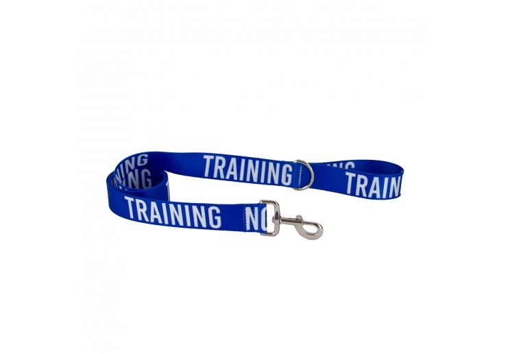 Training Awarness Lead