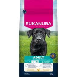 Eukanuba Adult Chicken Large Breed