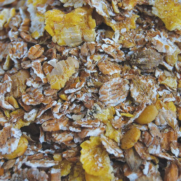 Flaked Barley