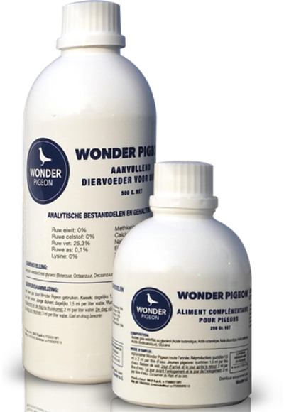 Harkers Wonder Pigeon