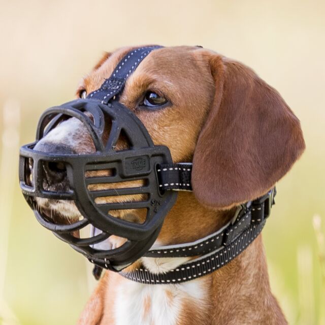 Flexible Muzzle