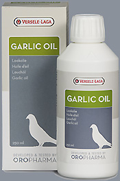 Garlic Oil
