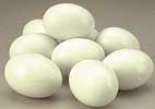 Solid pigeon eggs