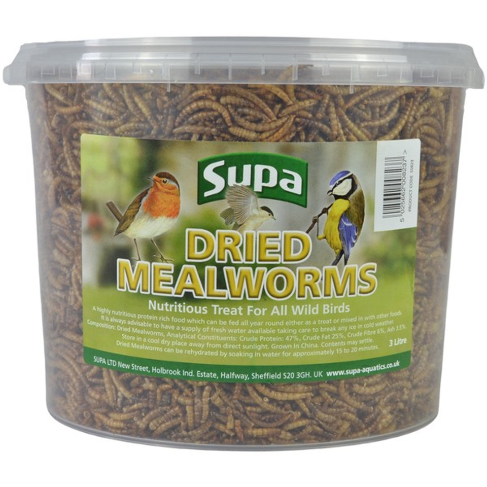 Dried Mealworms