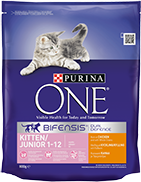 Purina One Kitten