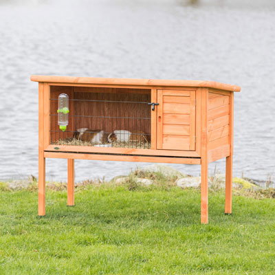 Guinea Pig Hutch