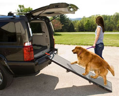 Dog Car Ramps