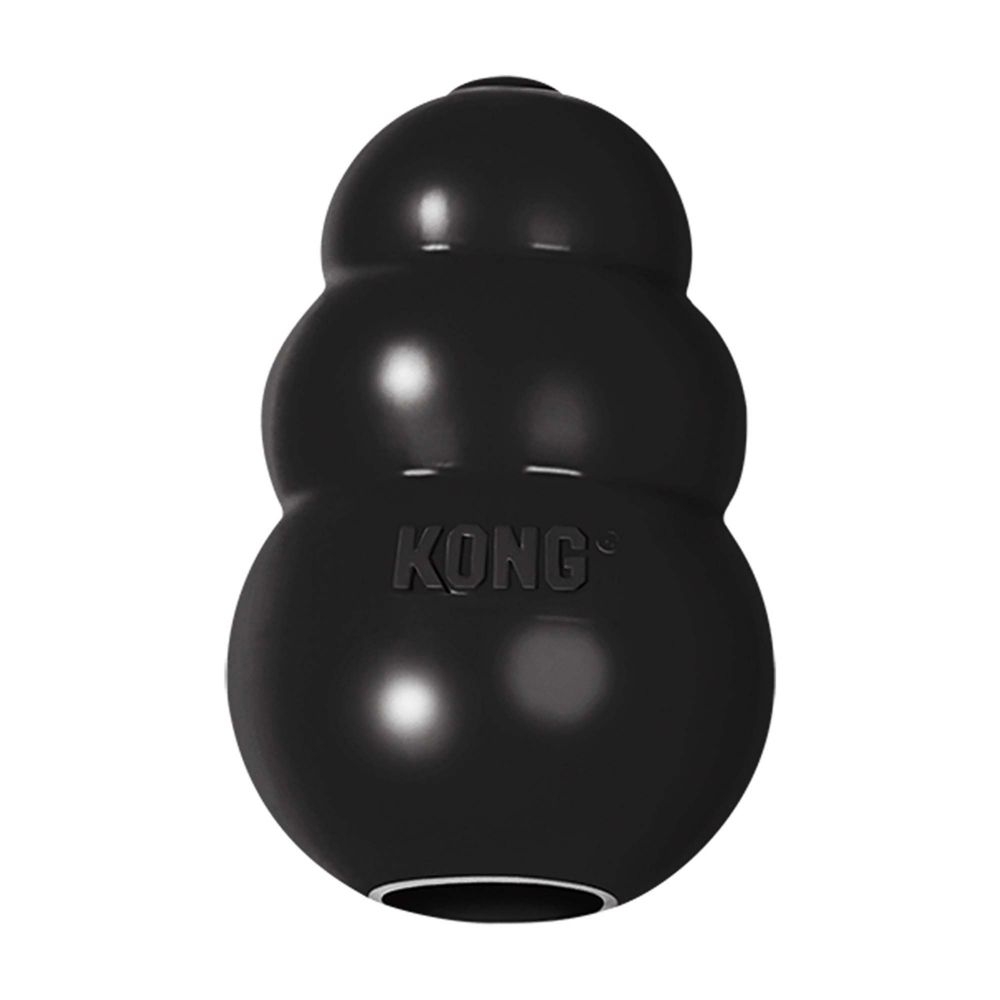 Kong Dog Toys