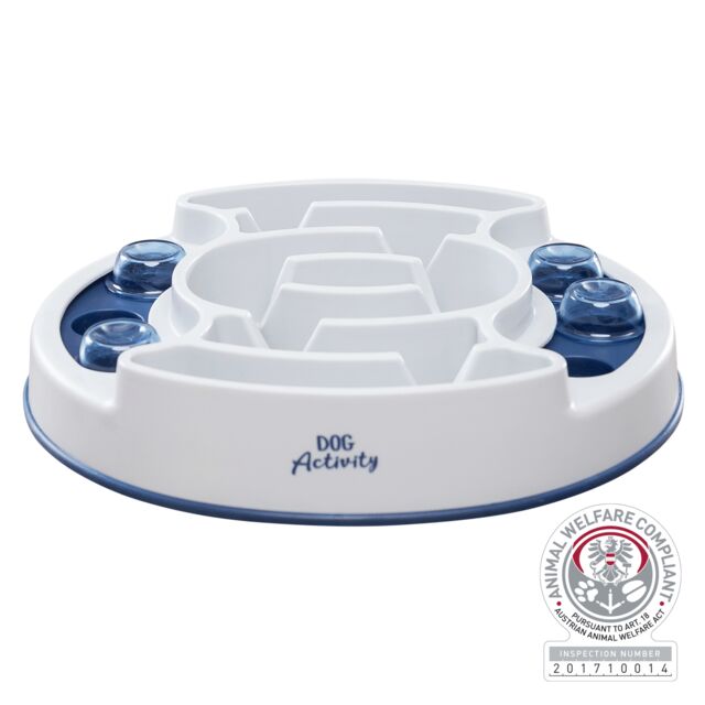 Activity Slide & Feed