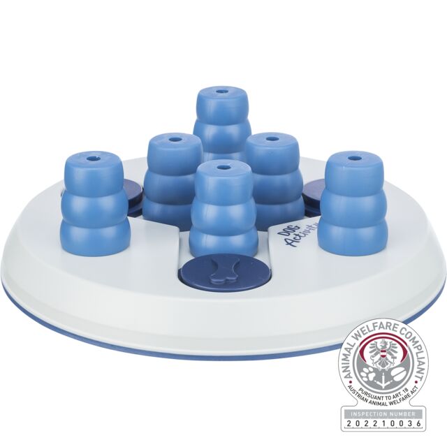 Activity Slide & Fun