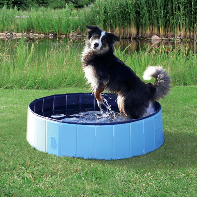 Dog Paddling Pool