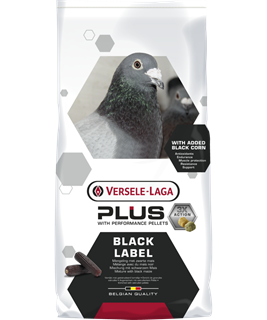 Champion Black Label