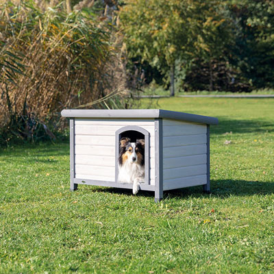 Flat Roof Kennels